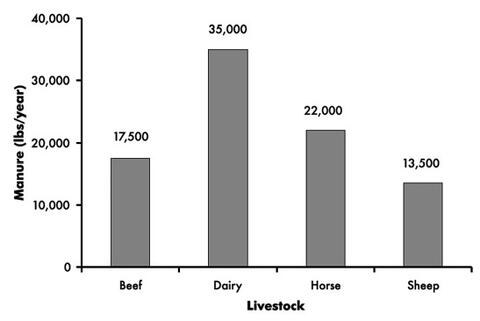 A bar cart shows the amount of manure deposition by livestock animals per year. Beef cattle, 17,500 pounds per year; Dairy cattle, 35,000 pounds per year; Horse, 22,000 pounds per year; and Sheep, 13,500 pounds per year. 