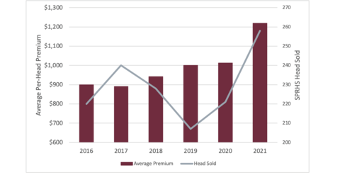 A bar chart outlines the SPRHS average premium compared to the amount of cattle sold.