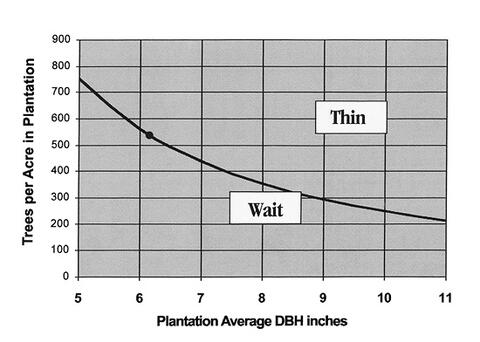 Graph with trees per acre (TPA) on the y-axis and average DBH on the x-axis. The intersection of these two variables creates a line with negative slope. When an intersection falls above this line, a decision to thin should be made. When an intersection falls below this line, a decision to wait on thinning should be made. This example graph shows 530 TPA.