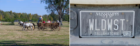 A horse-drawn wagon with two people in the drivers seat and 6 riders in the carriage; a dust-covered Mississippi license tag that reads “WLDWST” and “Tallahatchie” County.