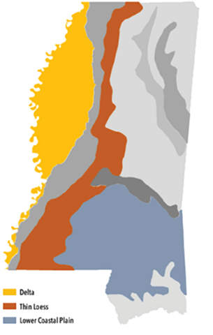 Mississippi soil region map. The Delta region is from the northwest tip to the southwest tip; it is much larger in the north and central areas than the south. The Thin Loess region is a narrow strip running from north-central to the southeast portion of the state. The Lower Coastal Plain region covers most of the south-central area and over to the eastern border. 