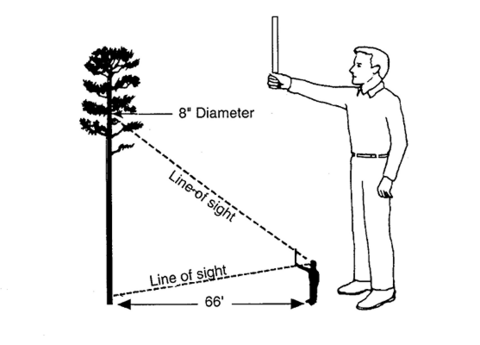 image description in text. 
