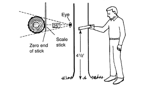 image description in text. 