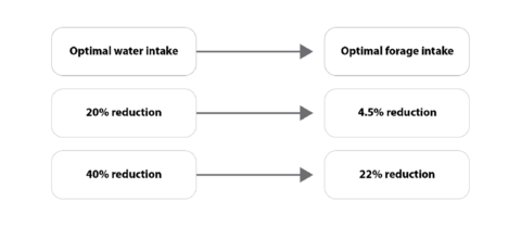 A 20 percent water intake reduction can lead to a 4.5 percent forage intake reduction; a 40 percent water reduction intake can lead to a 22 percent forage intake reduction.