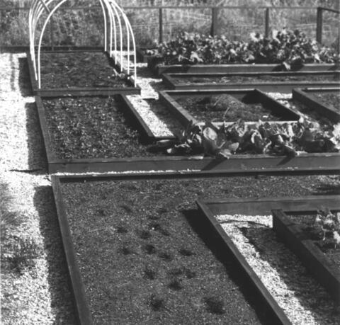 Raised beds