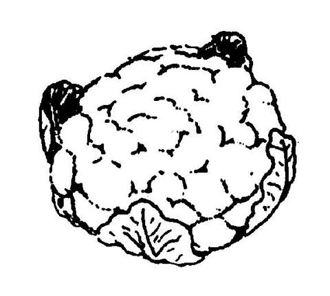 Cauliflower