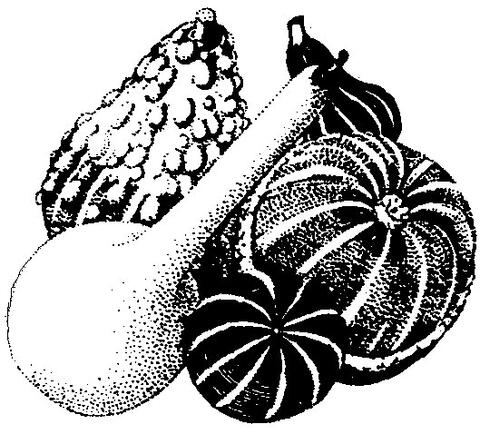 Gourds