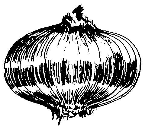 Onions