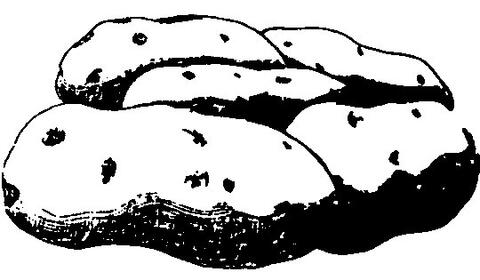 Potatoes