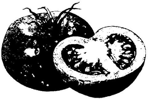 Tomatoes