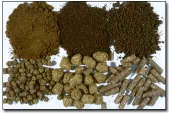 Photo of feed.
