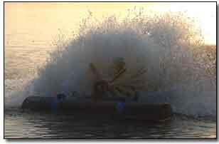 water aerator