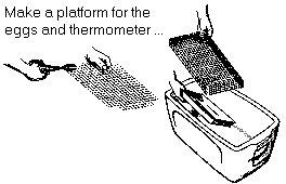 Make a platform for the eggs and thermometer