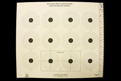 National Rifle Association 5 Meter BB Gun Target with 12 targets and two of them enclosed in an rectangle with SS labeled on them, all of which have seven larger white outer circles and three smaller inner black circles.
