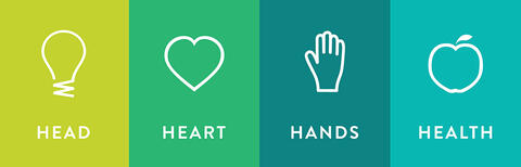 The grouped 4-H icons - head, heart, hands, health