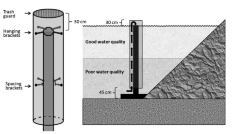 Image described in text.