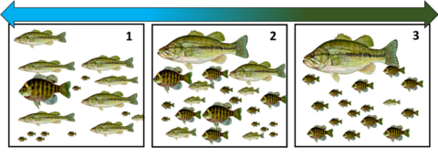 Image described in text.