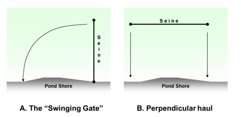 Image described in text.