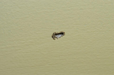 The spots of dried mud on the edge of this 2x4 are termite “pinholes.”