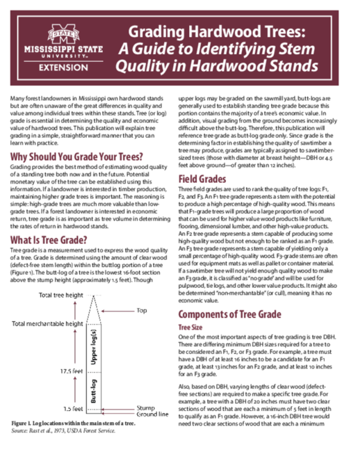 Preview of P3179_web.pdf