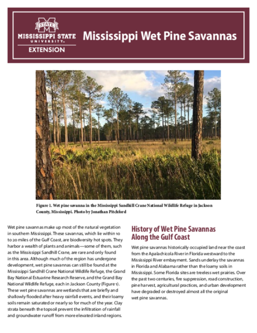 Preview of P4183_web.pdf