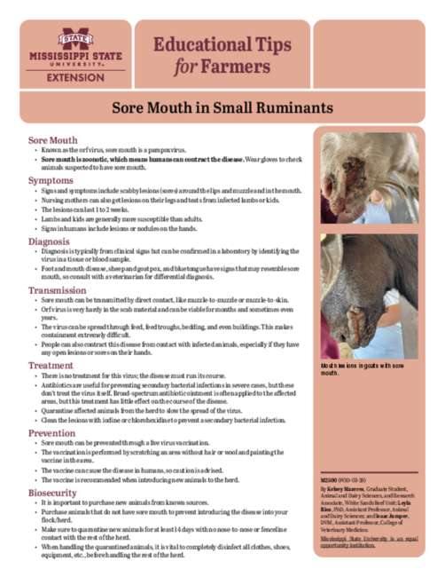 Preview of M2500_web.pdf