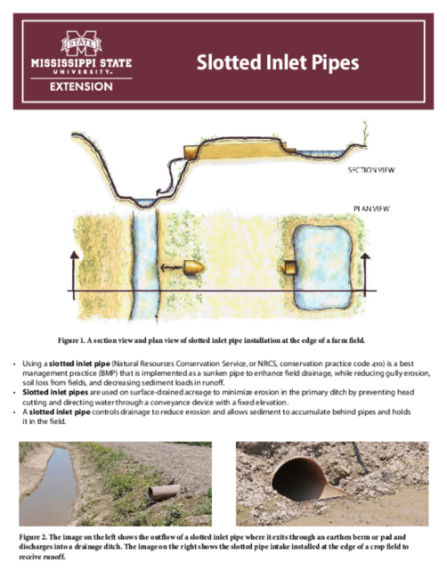 Preview of P2988_web.pdf