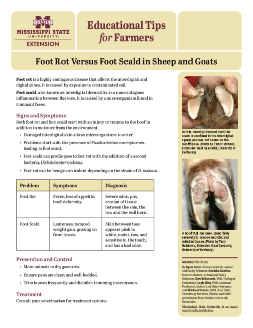 Preview of M2498_web.pdf