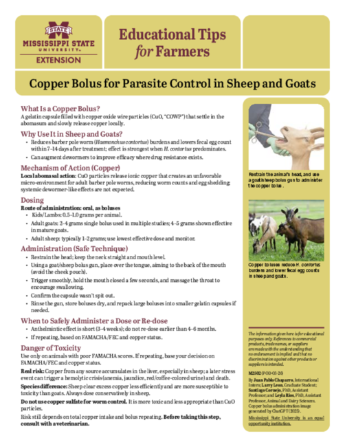 Preview of M2502_web.pdf