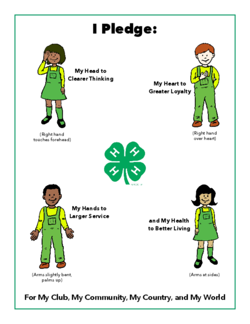 Preview of P3104_web.pdf