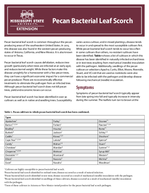 Preview of P3005_web.pdf