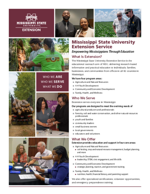 Preview of m2494_webREV.pdf