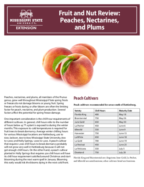 Preview of P3778_web.pdf