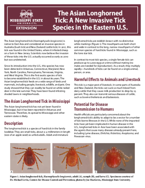 Preview of P3367_web.pdf