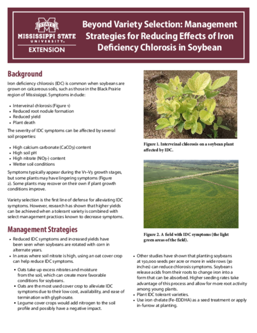 Preview of P4184_web.pdf