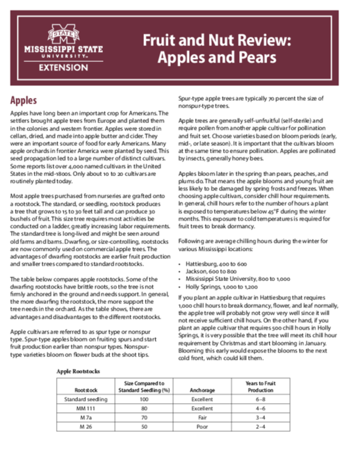 Preview of P3780_web.pdf