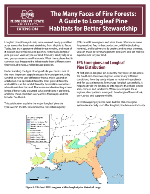 Preview of P4187_web.pdf