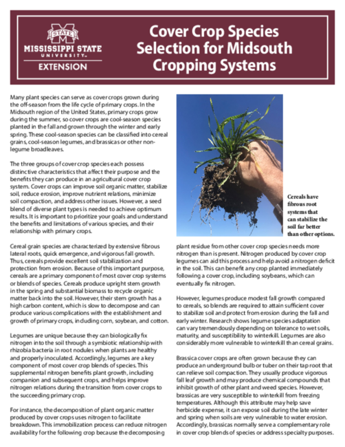 Preview of P4188_web.pdf