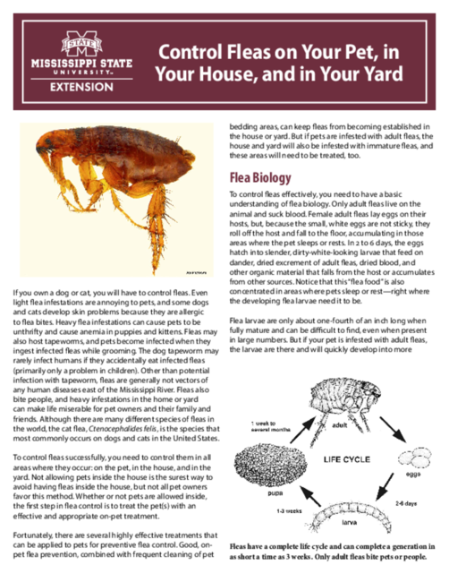 Preview of P2597_web.pdf