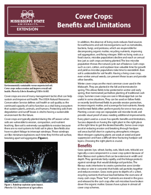 Preview of P3330_web.pdf