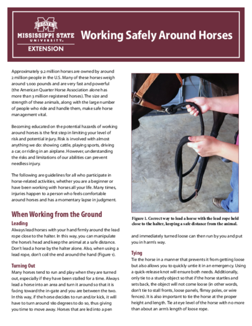 Preview of P3004_web.pdf