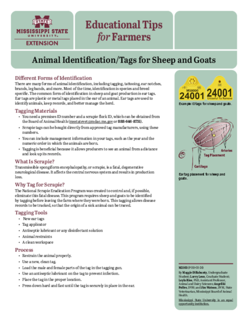 Preview of M2503_web.pdf