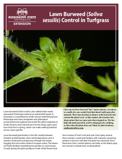 Preview of P4180_web.pdf