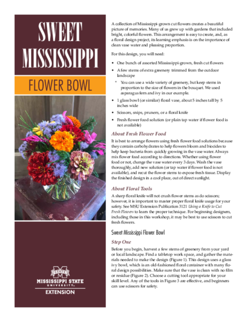 Preview of P3313_2026_web.pdf