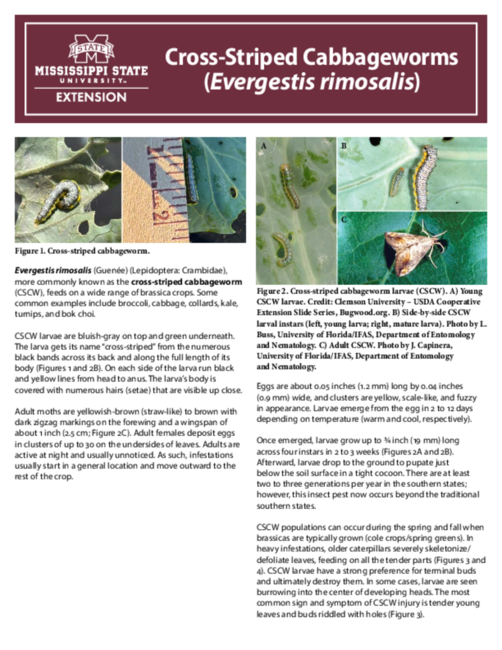 Preview of P4221.pdf
