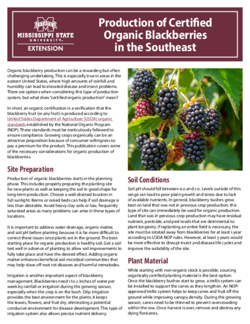 Preview of P4229_web.pdf