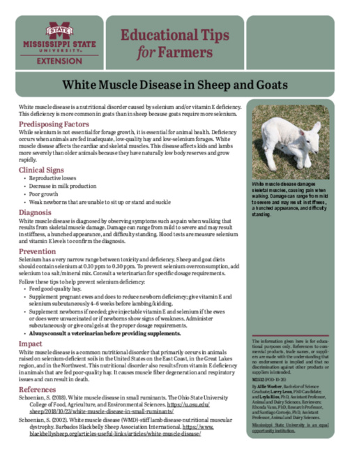 Preview of M2512_web.pdf