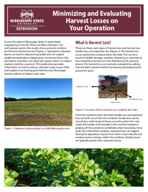 Preview of P4228_web.pdf