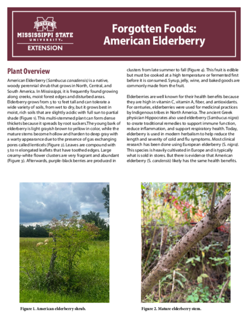 Preview of P4232_web.pdf