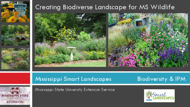 Preview of Mississippi Smart Landscapes - Creating Biodiverse Landscape for Mississippi Wildlife